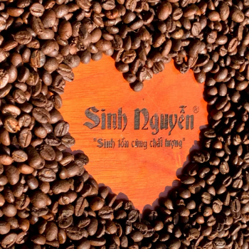Wholesale Premium Coffee Beans Competitive Price High Quality Machine Coffee Fruity Taste OEM ODM Services Vietnam Manufacturer