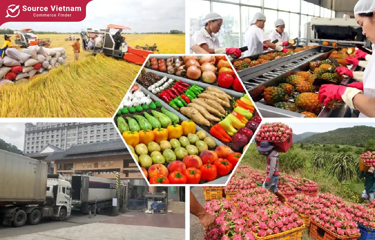 Enhancing Vietnam’s agricultural export efficiency