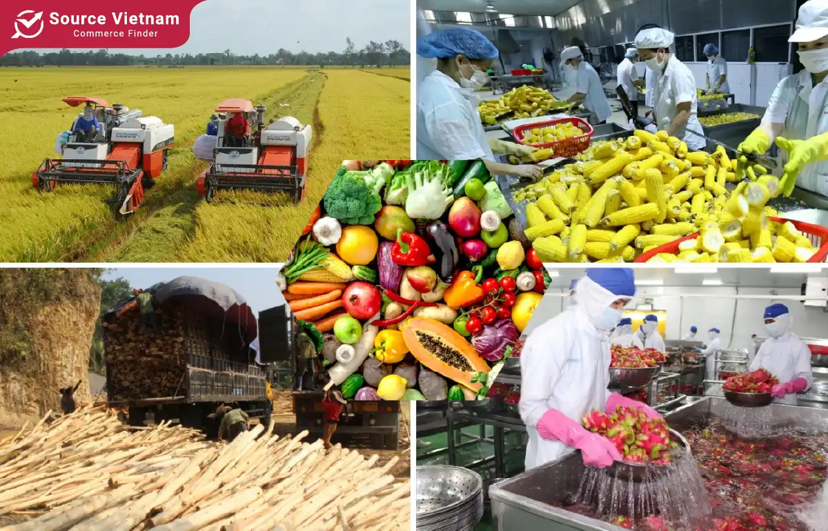 Opportunities and challenges for agricultural and food businesses in Vietnam