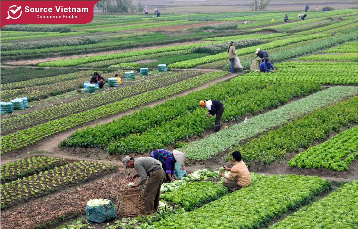 Latest EU import rules for Vietnamese agriculture