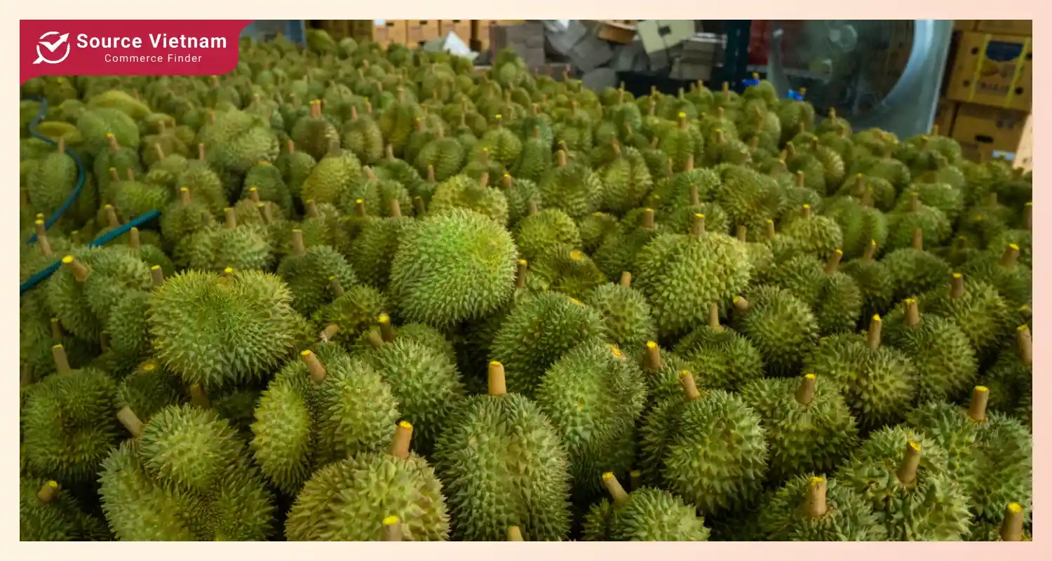 The potential of Vietnamese durian