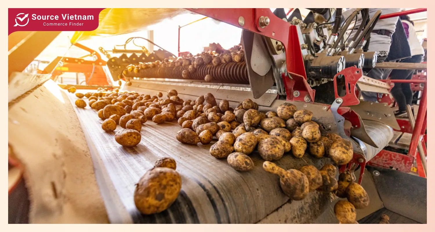 Upcoming trends in the potato market