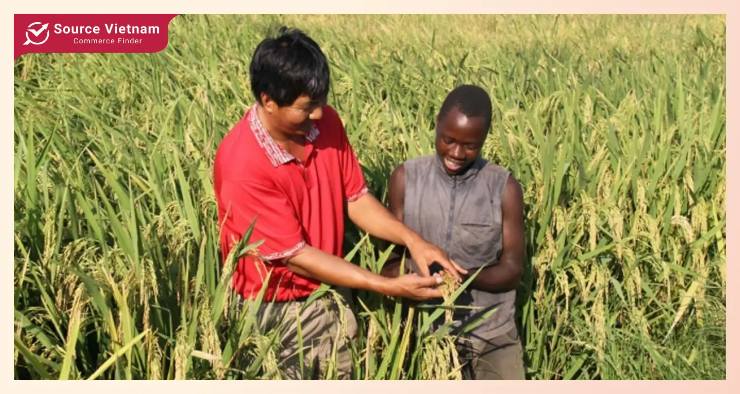 Vietnam-Africa agricultural collaboration