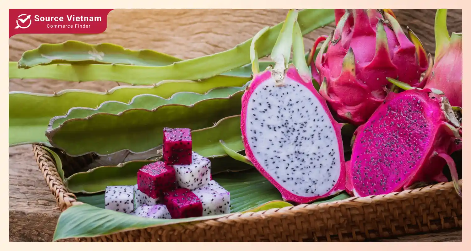 Challenges of dragon fruit exporting