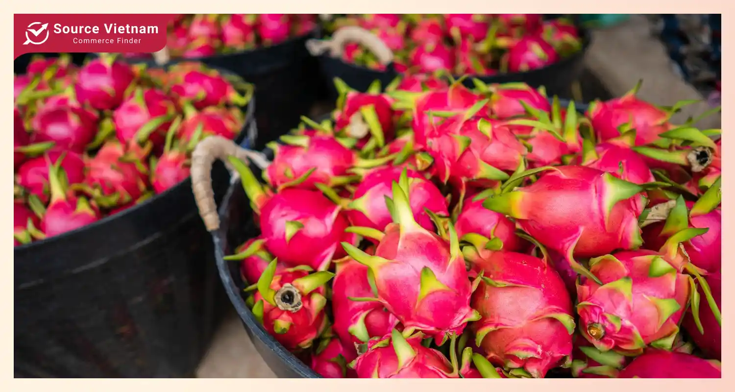 Overview of dragon fruit market