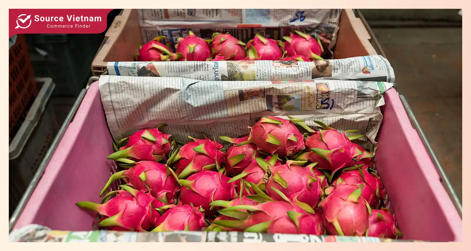 Vietnam ranks among the world's leading dragon fruit exporters