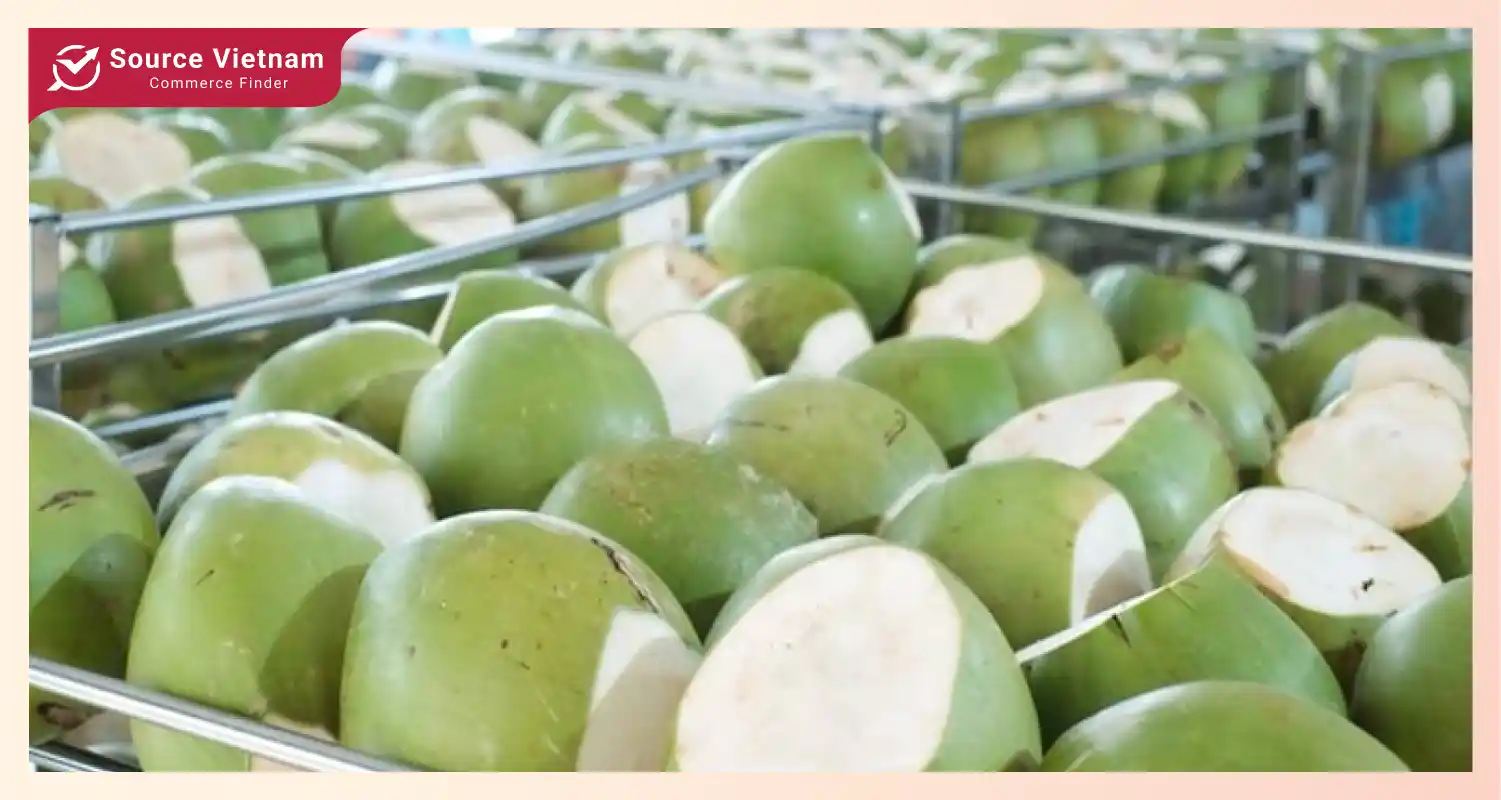 various-fruits-and-vegetables-are-exported-from-vietnam