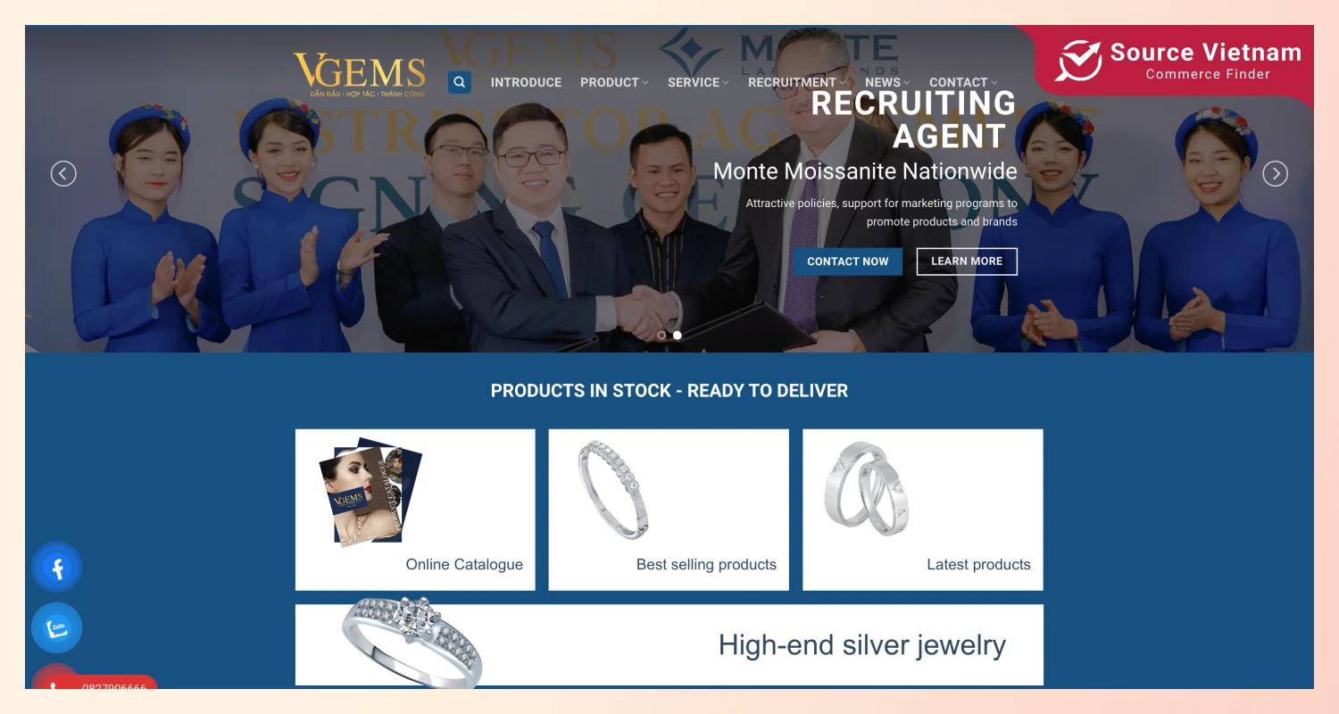 VGEMS Joint Stock Company