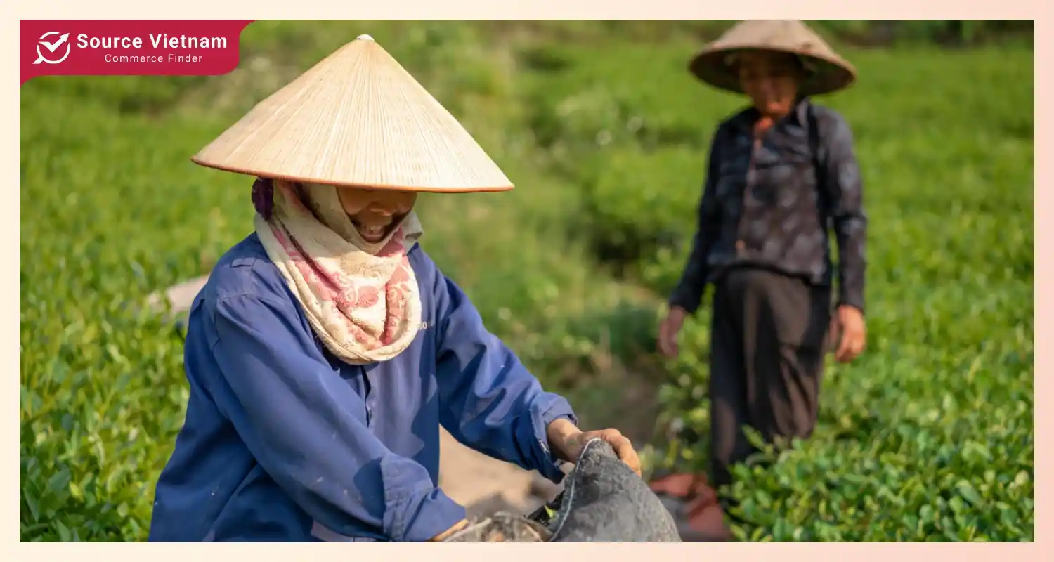 agriculture-is-a-traditional-occupation-in-vietnam