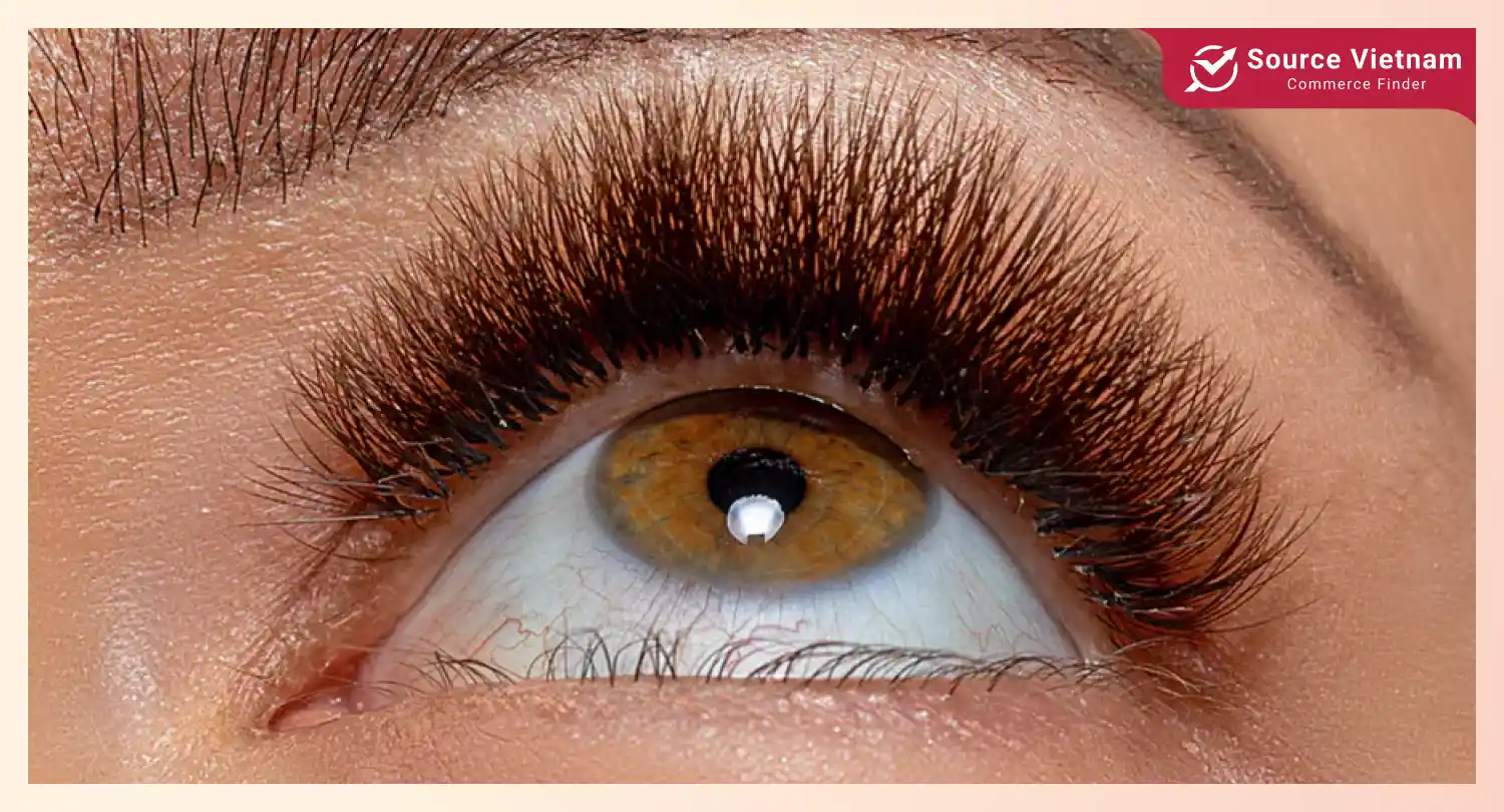 Top 10 types of eyelash extension styles and application