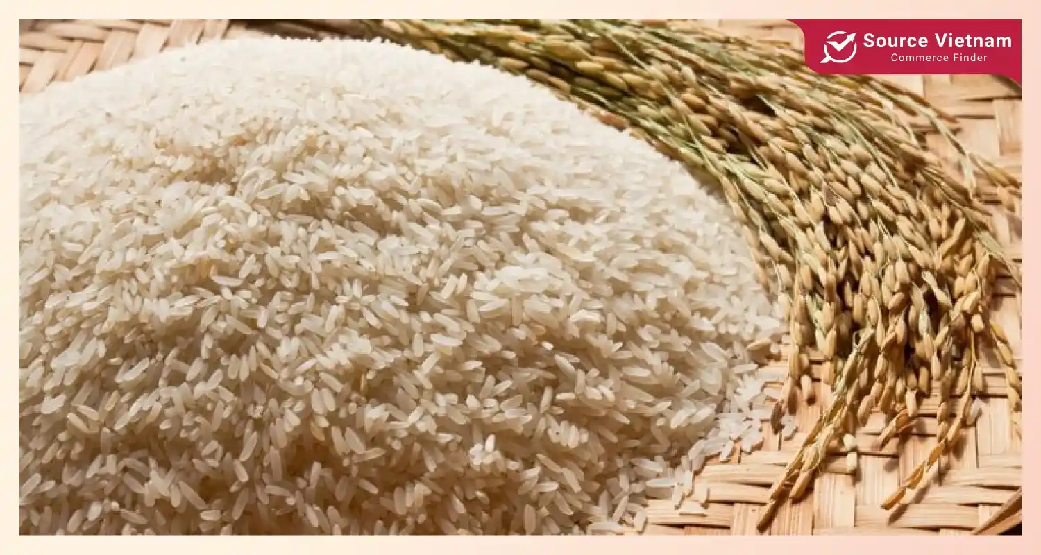 Why importing rice from Vietnam is a smart choice?