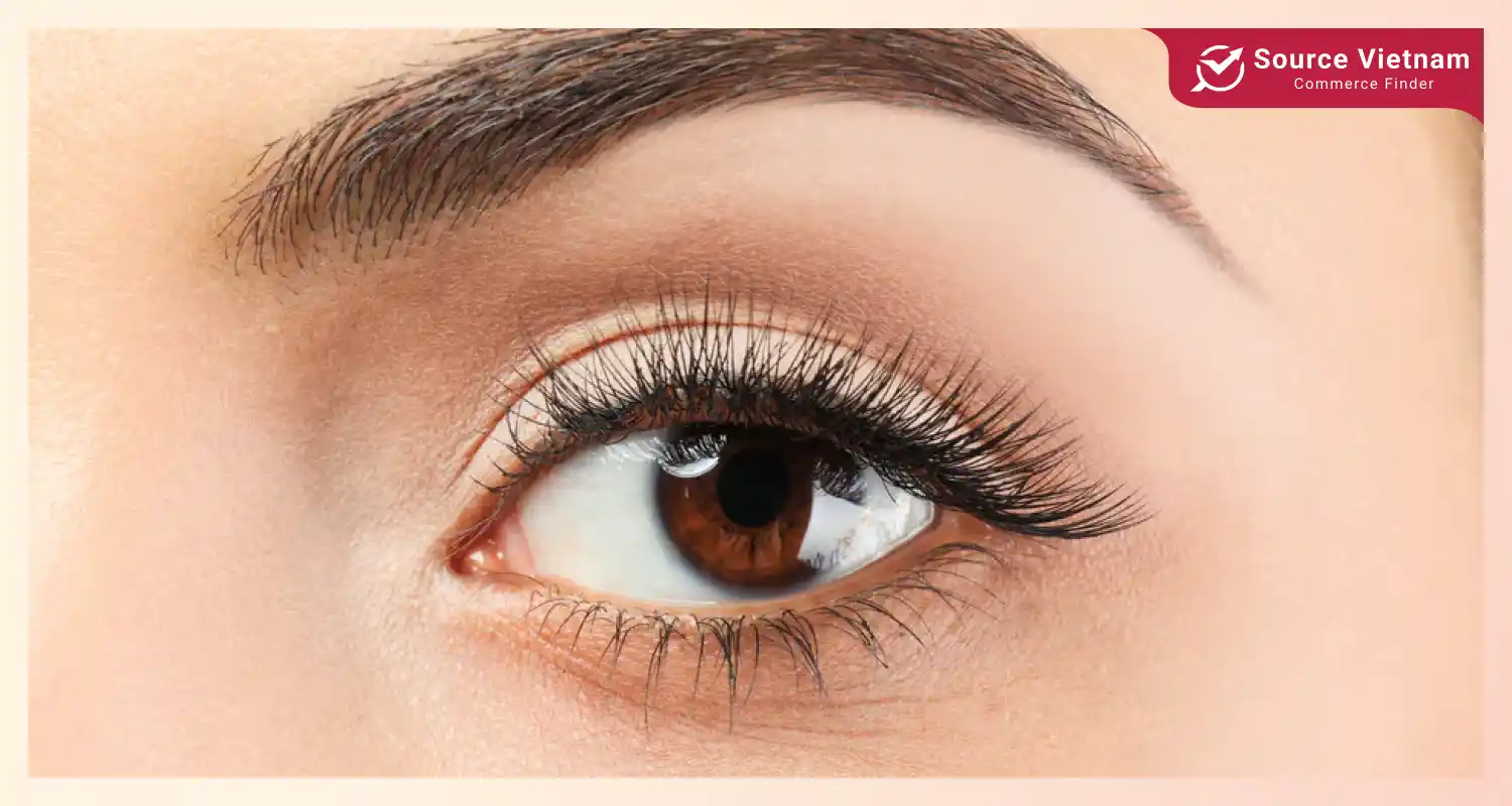 Top 10 types of eyelash extension styles and application