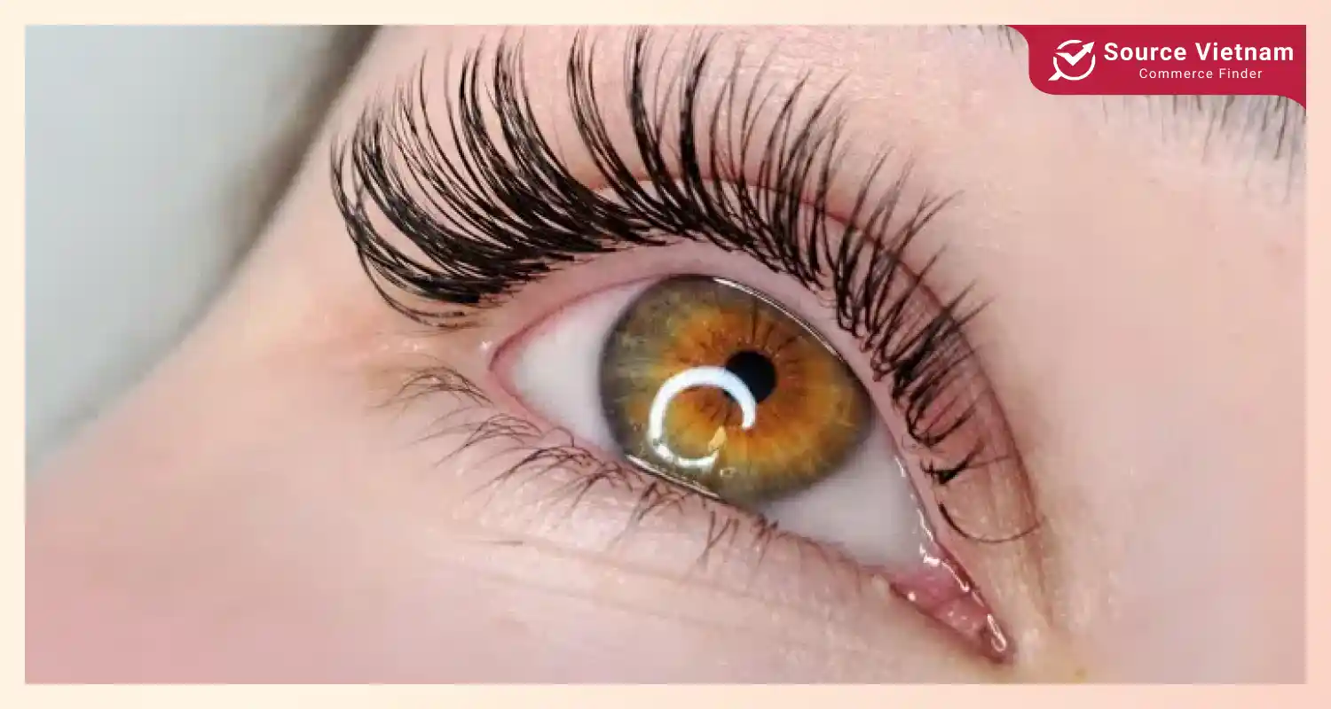 Top 10 types of eyelash extension styles and application