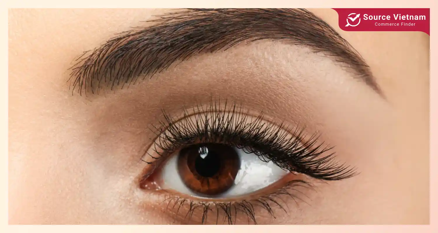 Top 10 types of eyelash extension styles and application