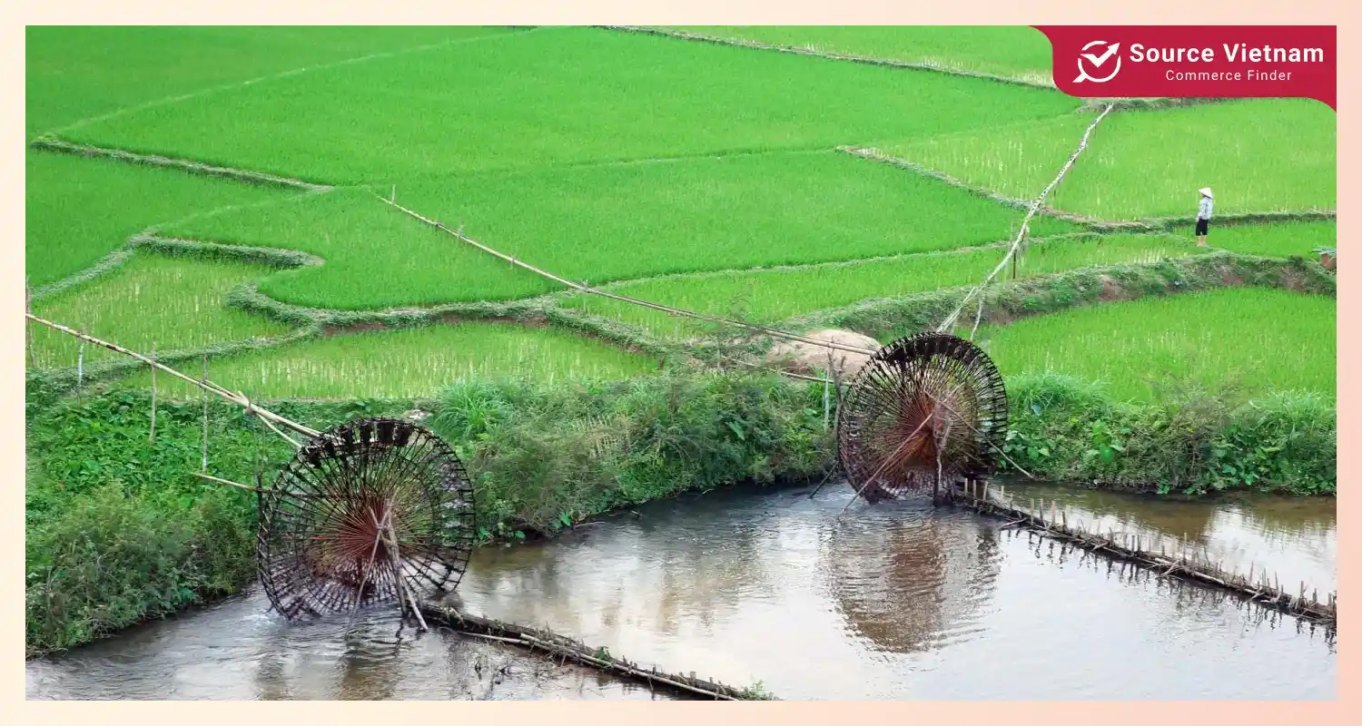 irrigation-rice-cultivation-vietnam