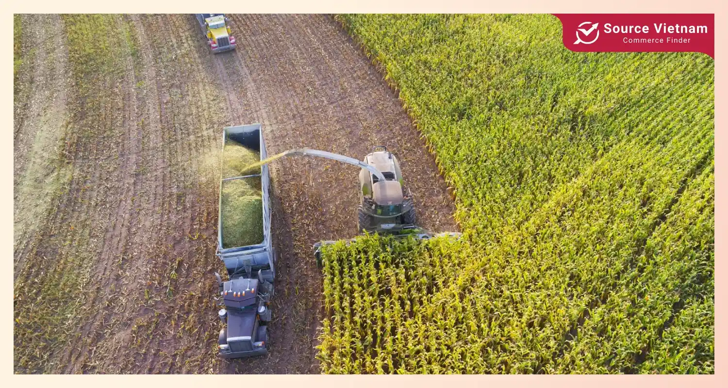 High-yielding rice varieties