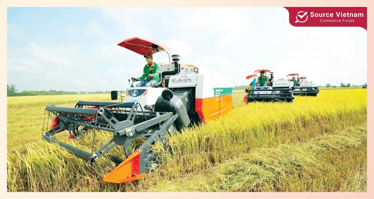 Challenges facing rice farming in Vietnam