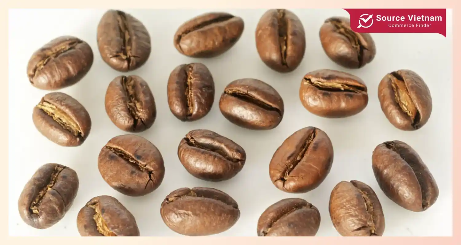 robusta-bean-coffee-bean-differences