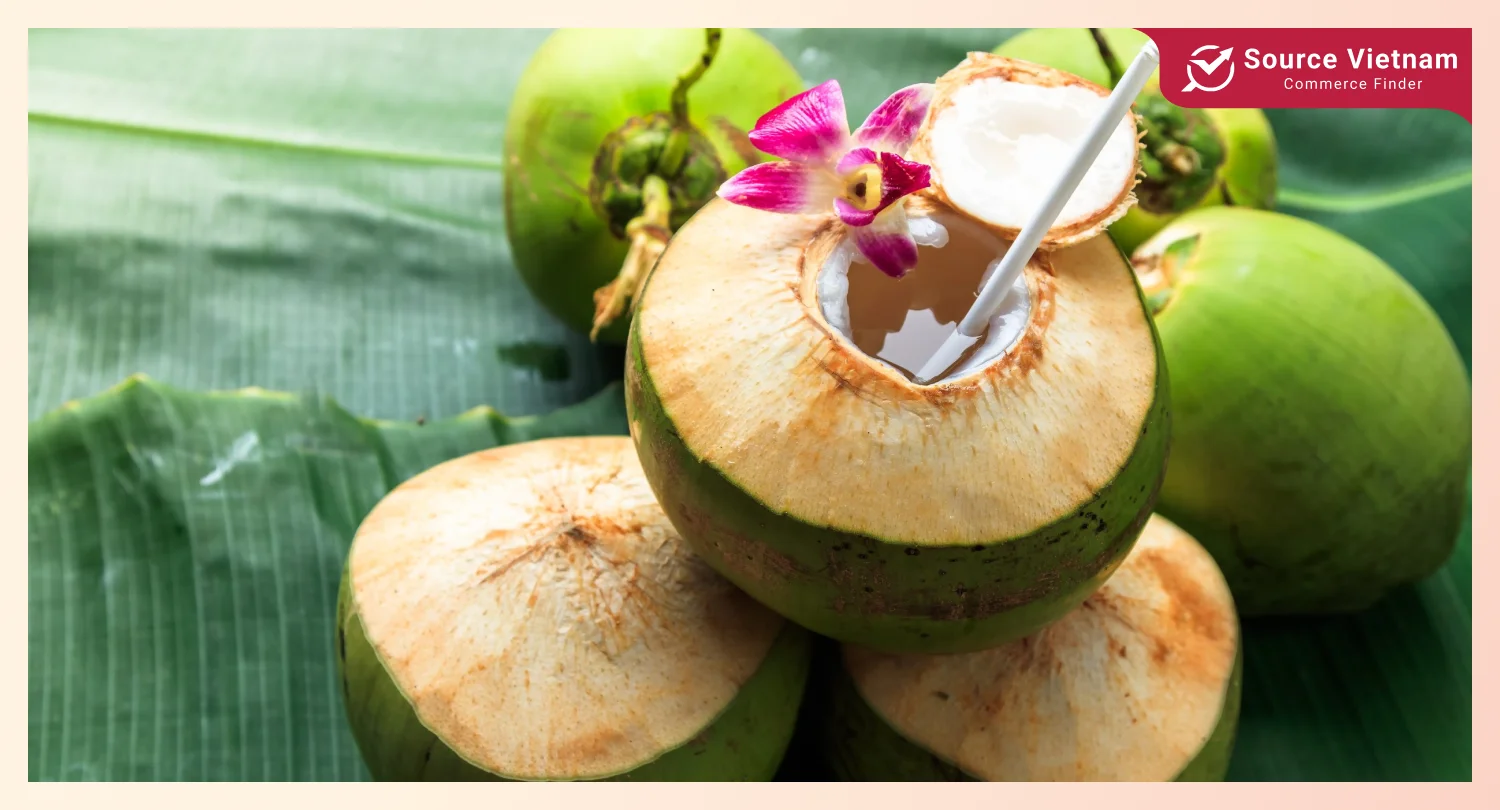 throughout-the-day-coconut-water-consumption-timing