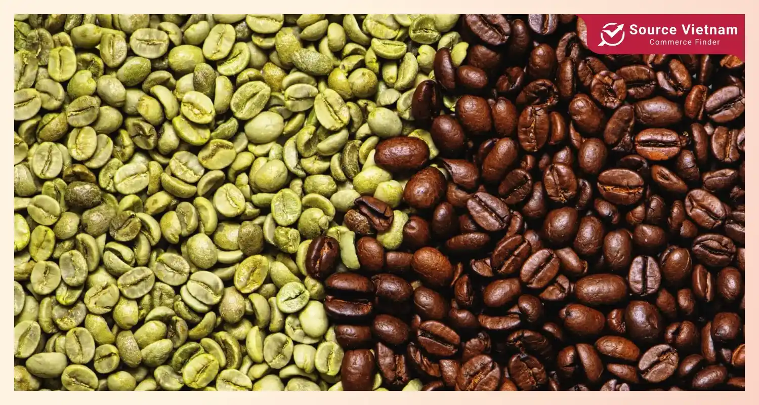 what-does-green-coffee-bean-extract-do