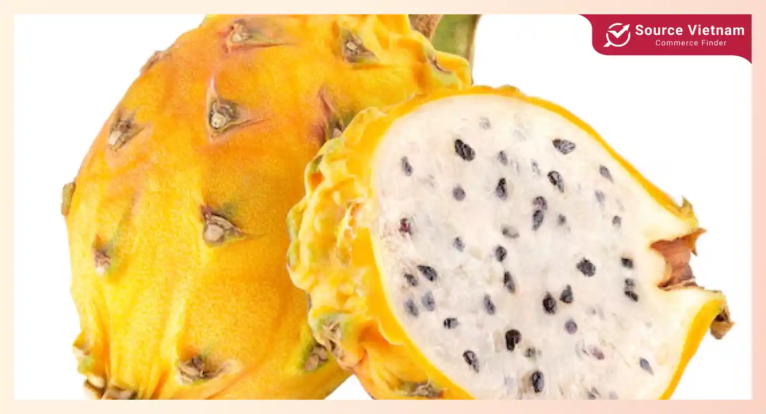 yellow-dragon-fruit-varieties