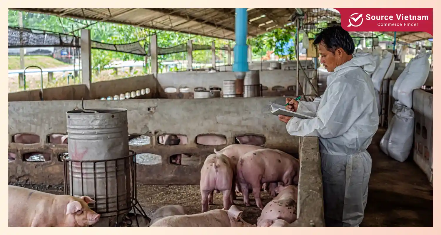 boosting-domestic-pork-production