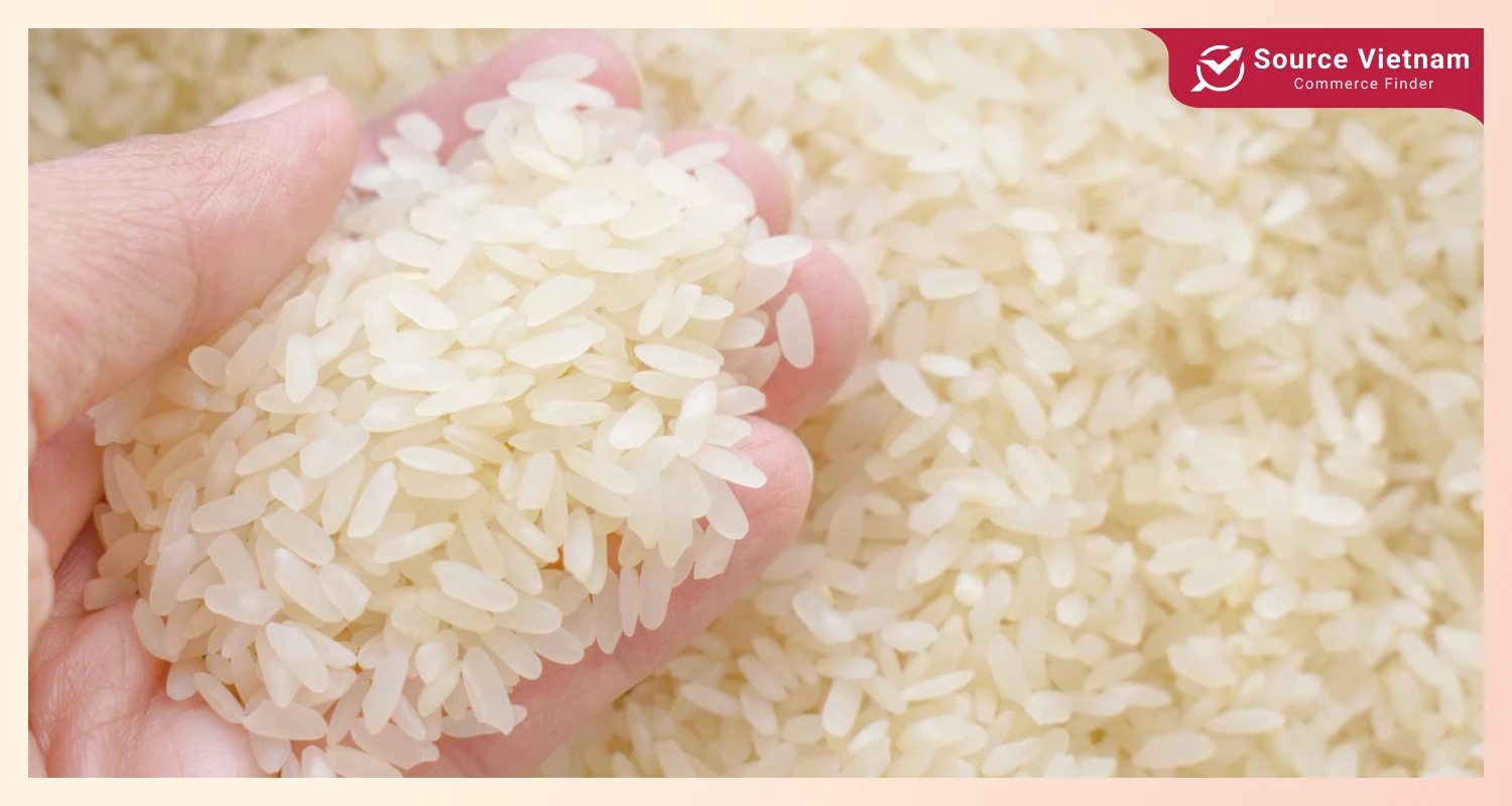 nuclear-tech-aims-to-boost-rice-production-and-sustainability