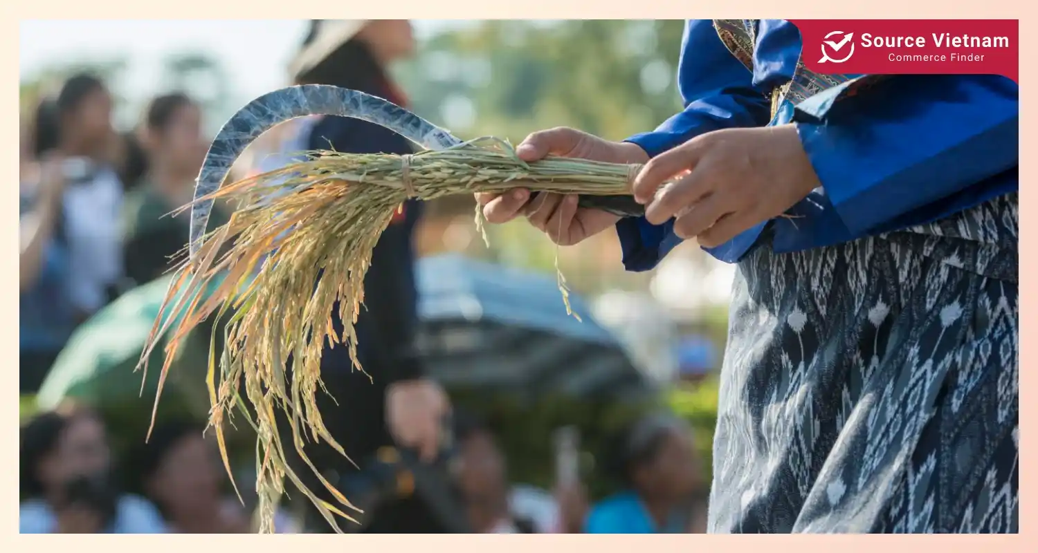 rice-is-vital-to-asias-diet-economy-and-stability