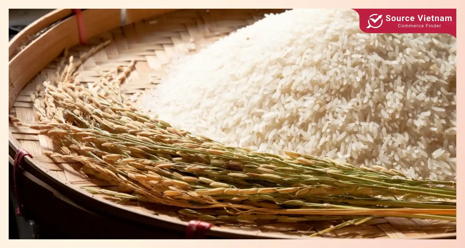 sustainable-rice-production-offers-branding-opportunities-and-ensures-long-term-growth